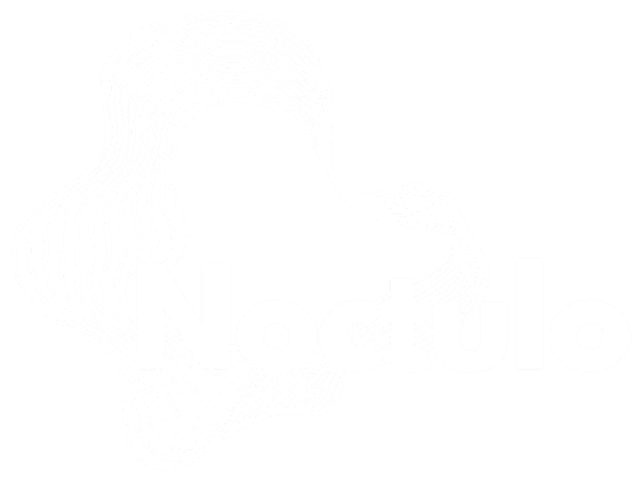 Noctulo